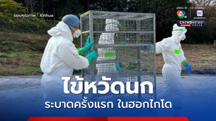 ญี่ปุ่นพบ ไข้หวัดนก ระบาดครั้งแรกของฤดูในฮอกไกโด 