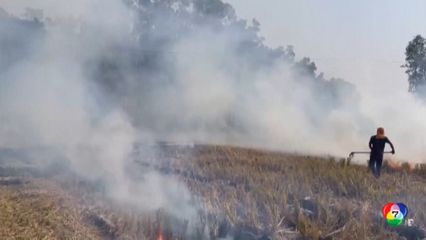 อินเดีย-ปากีสถาน เผชิญหมอกควันพิษ