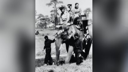 สมเด็จพระพันปีหลวง พระผู้ทรงนำช้างเร่ร่อนจากเมืองหลวงคืนถิ่น