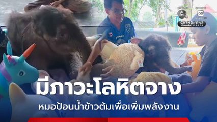 อัปเดตอาการลูกช้างข้าวต้ม มีภาวะโลหิตจาง