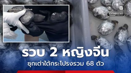 ศุลกากรเซินเจิ้นรวบ 2 หญิงจีน ซุกเต่าใต้กระโปรง รวม 68 ตัว