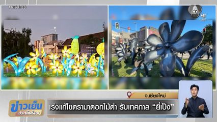 เร่งแก้ไขดรามาดอกไม้ดำ รับเทศกาล "ยี่เป็ง" เชียงใหม่