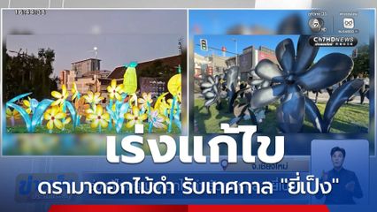 เร่งแก้ไขดรามาดอกไม้ดำ รับเทศกาล "ยี่เป็ง" เชียงใหม่