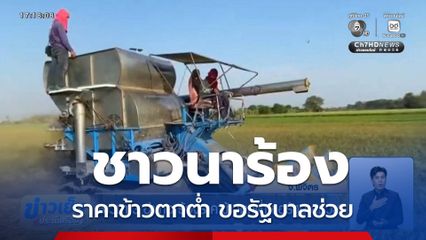 ชาวนา 3 อำเภอ ร้องราคาข้าวตกต่ำ ขอรัฐบาลช่วย จ.พิจิตร