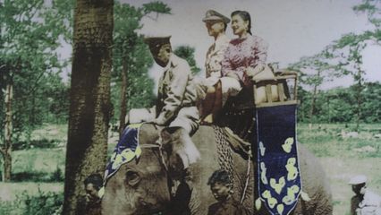 เรื่องเล่าประทับใจ พลายคำหมื่น ช้างมงคล