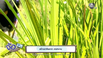 สร้างอาชีพจาก เตยหนาม จ.ยะลา