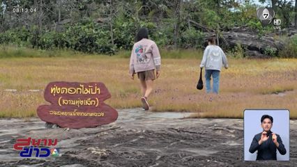 ความงามทุ่งดอกไม้ป่า ดอกไม้นามพระราชทาน