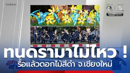 ทนดรามาไม่ไหว ! รื้อแล้วดอกไม้สีดำ จ.เชียงใหม่