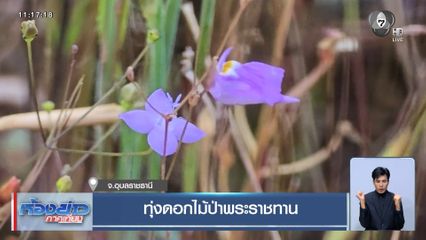 ทุ่งดอกไม้ป่าพระราชทาน