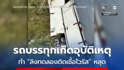 แตกตื่น! “ลิงทดลองติดเชื้อไวรัส” หลุด หลังรถที่บรรทุกมาเกิดอุบัติเหตุในสหรัฐฯ