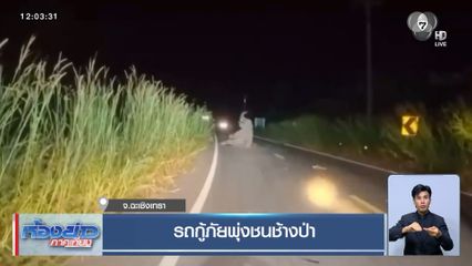 รถกู้ภัยพุ่งชนช้างป่า