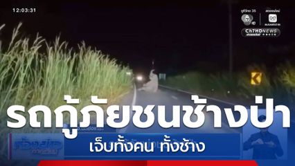 รถกู้ภัยพุ่งชนช้างป่า