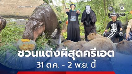 สวนสัตว์เปิดเขาเขียวชวนแต่งผีสุดครีเอต ร่วมสนุก “Zoo Halloween Party” 31 ต.ค. - 2 พ.ย. นี้