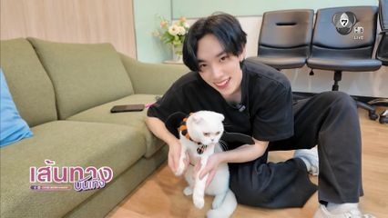 ดีแลนด์ เดโชชัย โชว์ความน่ารักของน้องแมวตัวโปรด น้องบูก้า