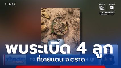 ทร.พบระเบิดชายแดน จ.ตราด 4 ลูก