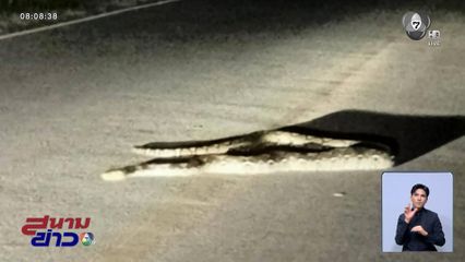 ตาดีอาจมีโชค ! งูจงอาง เปิดศึกดวล งูเหลือม