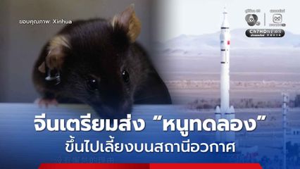 จีนเตรียมส่ง “หนูทดลอง” ไปเลี้ยงบนสถานีอวกาศ เพื่อศึกษาหนูในภาวะไร้แรงโน้มถ่วง