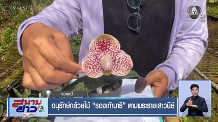 อนุรักษ์กล้วยไม้ "รองเท้านารี" ตามพระราชเสาวนีย์