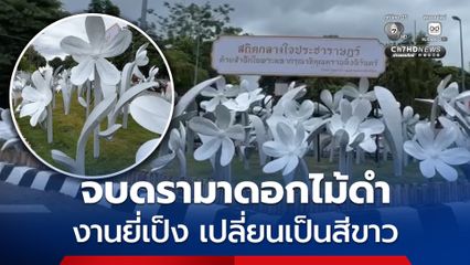 จบดรามาดอกไม้ดำงานยี่เป็ง เปลี่ยนใหม่เป็นสีขาว 