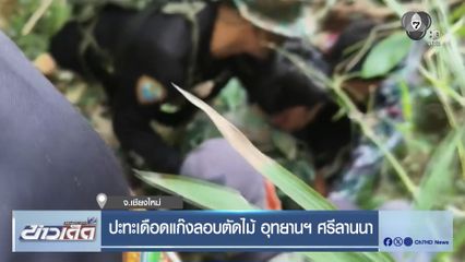 ปะทะเดือดแก๊งลอบตัดไม้ อุทยานฯ ศรีลานนา