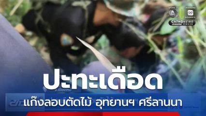 ปะทะเดือดแก๊งลอบตัดไม้ อุทยานฯ ศรีลานนา