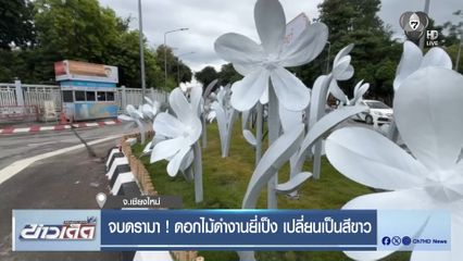 จบดรามา ! ดอกไม้ดำงานยี่เป็ง เปลี่ยนเป็นสีขาว