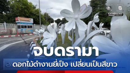 จบดรามา ! ดอกไม้ดำงานยี่เป็ง เปลี่ยนเป็นสีขาว