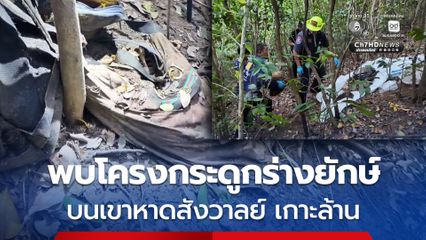 พบโครงกระดูกร่างยักษ์ตายปริศนาบนยอดเขาเกาะล้าน ตำรวจเร่งหาสาเหตุ