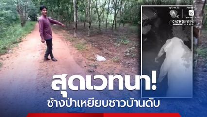 สุดเวทนา! ช้าป่าเหยียบชาวบ้าน เสียชีวิตระหว่างนำส่งโรงพยาบาล