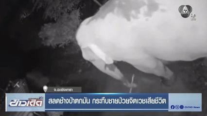 สลดช้างป่าตกมัน กระทืบชายป่วยจิตเวชเสียชีวิต