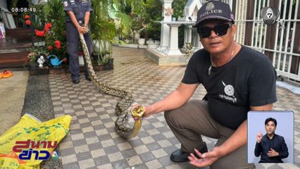 บุกบ้านตำรวจ ล่างูเหลือม เขมือบลูกแมว