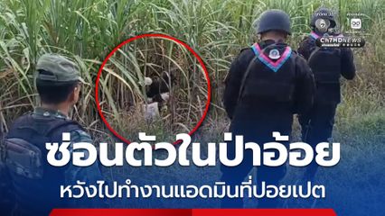 ซ่อนตัวในป่าอ้อย หวังไปทำงานแอดมินที่ปอยเปต