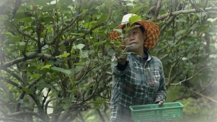 สารคดีเฉลิมพระเกียรติฯ พระเมตตาดั่งสายธาร ตอน 1