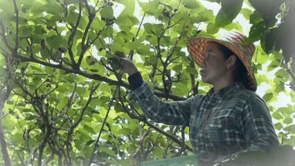 สารคดีเฉลิมพระเกียรติฯ พระเมตตาดั่งสายธาร ตอน 2