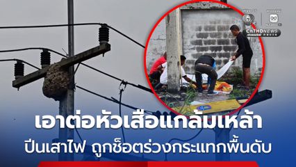 หนุ่มปีนเสาไฟเอาต่อหัวเสือ ถูกไฟช็อตร่วงตกกระแทกพื้นเสียชีวิตคาที่