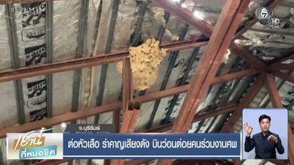 ต่อหัวเสือ รำคาญเสียงดัง บินว่อนต่อยคนร่วมงานศพ