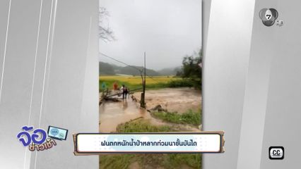 ฝนตกหนักน้ำป่าหลากท่วมนาขั้นบันได