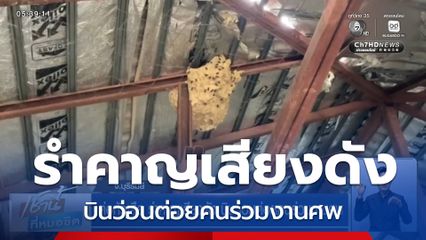 ต่อหัวเสือ รำคาญเสียงดัง บินว่อนต่อยคนร่วมงานศพ