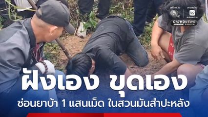 ฝังเอง ขุดเอง ซ่อนยาบ้า 1 แสนเม็ด ในสวนมันสำปะหลัง