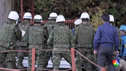 ญี่ปุ่นส่งกองกำลัง ปราบหมี หลังพบกรณีทำร้ายคนแล้วกว่า 100 ครั้ง