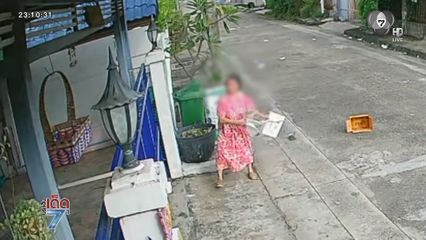 ตร.ฟัน ป้ามหาภัย ป่วนเพื่อนบ้าน 2 ปี