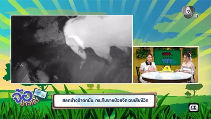 สลดช้างป่าตกมัน กระทืบชายป่วยจิตเวชเสียชีวิต