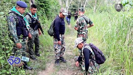 ชาวบ้านหยุดกรีดยาง ผวาเสือโคร่งมลายูโผล่ฝั่งไทย