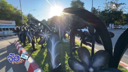 จบดรามา ! ดอกไม้ดำงานยี่เป็ง เปลี่ยนเป็นสีขาว