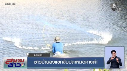 ชาวบ้านลงแขกจับปลาหมอคางดำ