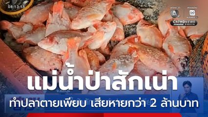แม่น้ำป่าสักเน่า ทำปลาตายเพียบ