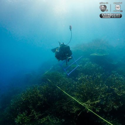 ดำน้ำสำรวจ “อ่าวสุเทพ" ปะการังอยู่ในเกณฑ์สมบูรณ์ดีมาก