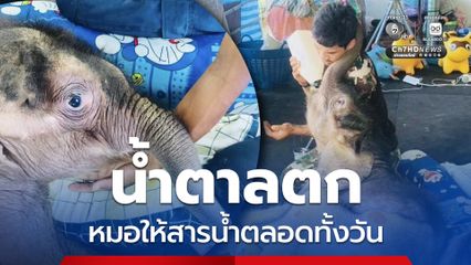 ลูกช้างข้าวต้ม กินได้น้อย อุจจาระมีเนื้อเยื่อผนังสำไส้หลุดออกมาเล็กน้อย