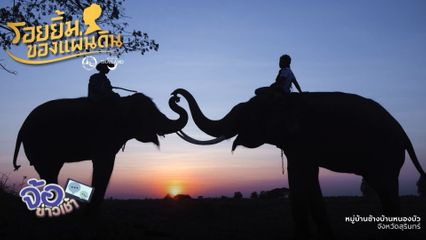 "รอยยิ้มของแผ่นดิน" สู่หัวใจนักเดินทาง