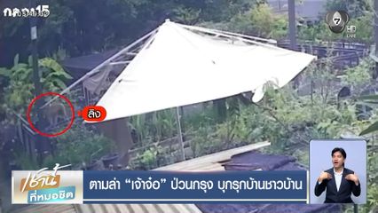 ตามล่า เจ้าจ๋อ ป่วนกรุง บุกรุกบ้านชาวบ้าน